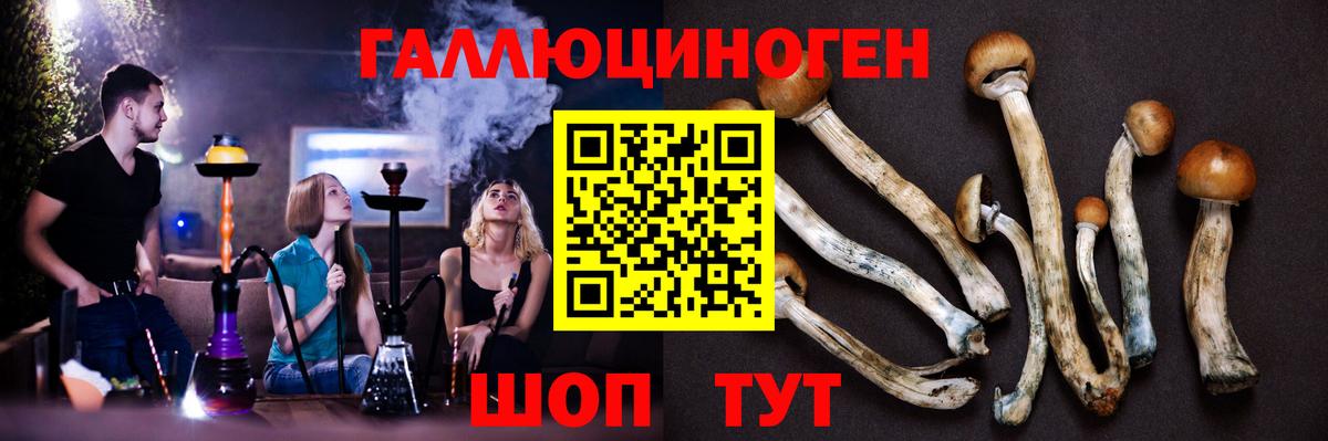 Россошь  Галлюциногенные грибы ЛСД  Вход с VPN 